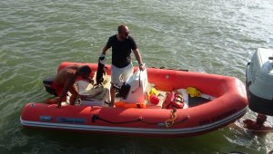 Bursa'da iskelede mahsur kalan kedi kurtarıldı
