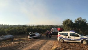Bursa'da orman yangını