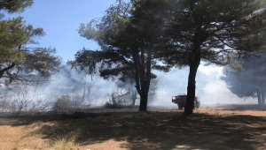 Çanakkale'de orman yangını