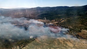 Çanakkale'de zeytinlik yangını
