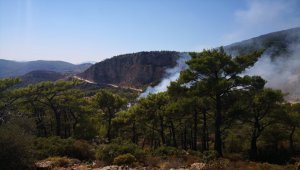 Datça'da orman yangını