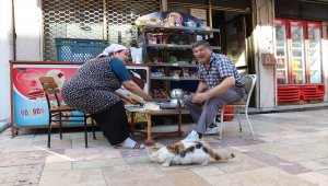 Denizli'de sokak kedisini tekmeleyen kişiye 900 lira ceza kesildi