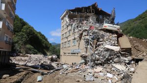 Dereli ilçesinde ev ve iş yerlerinin yıkımları sürüyor