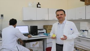 Dicle Üniversitesinde bordan yarı sentetikli el yumuşatıcı krem üretildi 