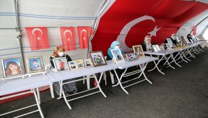 Diyarbakır annelerinin evlat nöbeti 347. gününde sürüyor