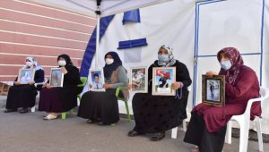 Diyarbakır annelerinin evlat nöbeti 356. gününe girdi 