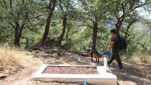 Diyarbakır'da kaybolan 4 yaşındaki Miraç'ın bulunması için çalışmalar sürüyor 