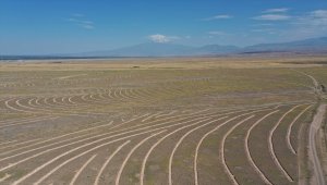 "Doğu'nun Çukurovası'nın" kurak dağlarındaki erozyon, teraslama ile önlendi