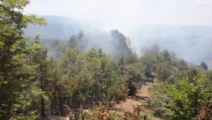 Düzce'de 15 dönüm fındık bahçesi ile 10 dönüm ormanlık alan yandı