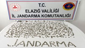 Elazığ'da 1188 sikke ve bronz objeyi satmak isteyen iki kişi yakalandı