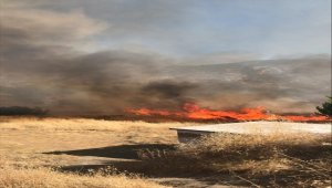  Elazığ'da çıkan yangında 400 dekar alan zarar gördü
