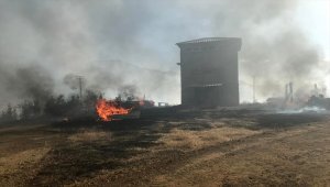 Elazığ'da çıkan yangında bin dekar ormanlık alan zarar gördü
