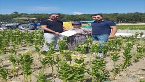 Fen Lisesini kazandığını tütün tarlasında öğrendi
