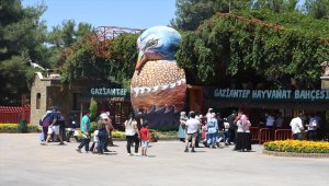 Gaziantep Hayvanat Bahçesi'nde bayram yoğunluğu