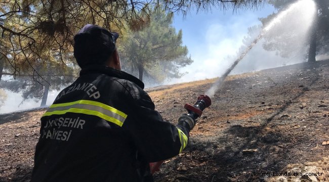 Gaziantep'te çıkan orman yangını söndürüldü