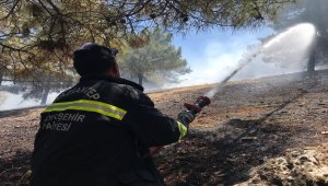 Gaziantep'te çıkan orman yangını söndürüldü