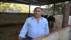 Gaziantep'te tüberküloz çıkan kurbanın eti imha edildi