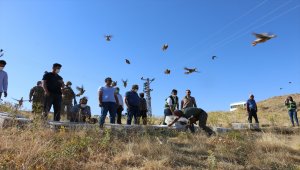 Gaziantep'te üretilen 750 kınalı keklik Siirt'te doğaya salındı

