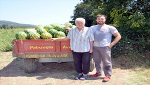 Genç güreşçi Kırkpınar'a tarlada hazırlanıyor