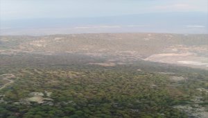 GÜNCELLEME 2 - Aydın'da başlayıp Muğla'ya kadar ulaşan orman yangını kontrol altına alındı
