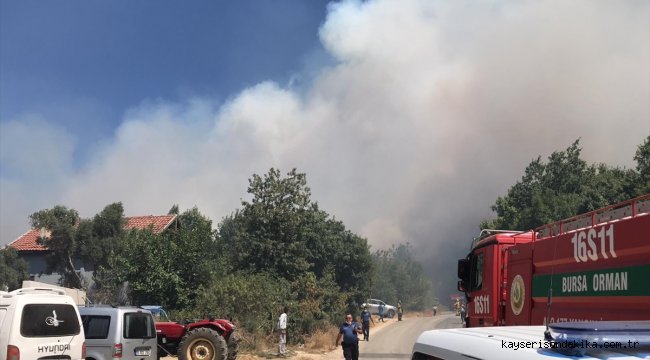 GÜNCELLEME 2 - Bursa'da yerleşim bölgesi yakınında orman yangını