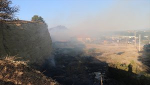 GÜNCELLEME 2 - Sakarya'daki orman yangını kontrol altına alındı