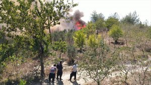 GÜNCELLEME - Adana'da orman yangını