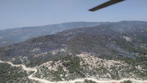 GÜNCELLEME - Aydın'da başlayıp Muğla'ya kadar ulaşan orman yangını kısmen kontrol altına alındı
