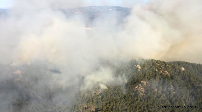 GÜNCELLEME - Aydın'da çamlık alanda çıkan orman yangınına müdahale ediliyor