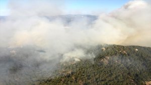 GÜNCELLEME - Aydın'da çamlık alanda çıkan orman yangınına müdahale ediliyor