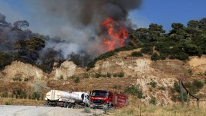GÜNCELLEME - Aydın'da zeytin ve incir ağaçlarının bulunduğu alanda yeniden yangın çıktı