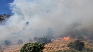 GÜNCELLEME - Aydın'da zirai alanda çıkan yangın Priene Antik Kenti'ndeki ağaçlara sıçradı

