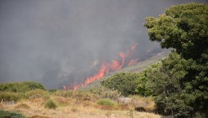 GÜNCELLEME - Bodrum'da makilik alanda çıkan yangın kontrol altına alındı