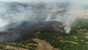 GÜNCELLEME - Elazığ'da 1000 dekar ormanlık alanın zarar gördüğü yangın kontrol altına alındı
