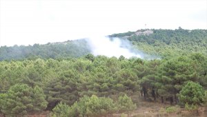 GÜNCELLEME - İstanbul'da Aydos Ormanı'nda yangın
