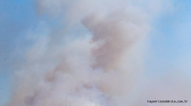 GÜNCELLEME - İzmir'in Menderes ilçesinde orman yangını çıktı
