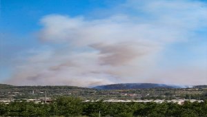GÜNCELLEME - İzmir'in Menderes ilçesinde orman yangını çıktı
