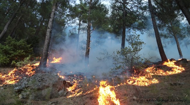 GÜNCELLEME - Kahramanmaraş'ta çıkan orman yangını kontrol altına alındı