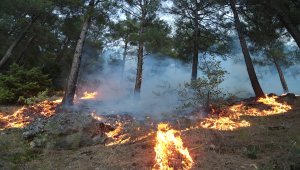 GÜNCELLEME - Kahramanmaraş'ta çıkan orman yangını kontrol altına alındı