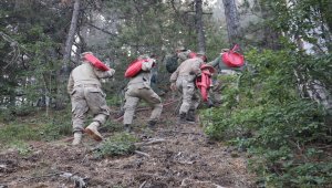 GÜNCELLEME - Kastamonu'da çıkan orman yangınına müdahale ediliyor
