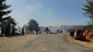 GÜNCELLEME - Mersin'de çıkan orman yangını kontrol altına alındı