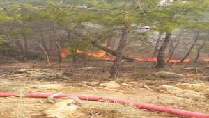 GÜNCELLEME - Mersin'de çıkan orman yangını söndürüldü
