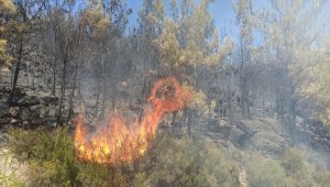 GÜNCELLEME - Muğla'da çıkan orman yangını söndürüldü