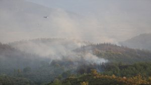 GÜNCELLEME - Muğla'da çıkan orman yangınına müdahale ediliyor