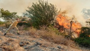 GÜNCELLEME - Osmaniye'deki orman yangını kontrol altına alındı
