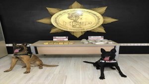 Hakkari'de 6 kilo 200 gram eroin ele geçirildi