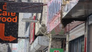Hakkari'de iş yerinin tabelasına konan arılar esnafa zor anlar yaşattı