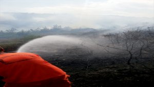 Hatay'da çıkan orman yangını kontrol altına alındı
