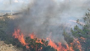 Hatay'da çıkan orman yangınında 2 dekar alan zarar gördü