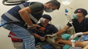 Hatay'da eli salça makinesine sıkışan gencin yardımına itfaiye yetişti